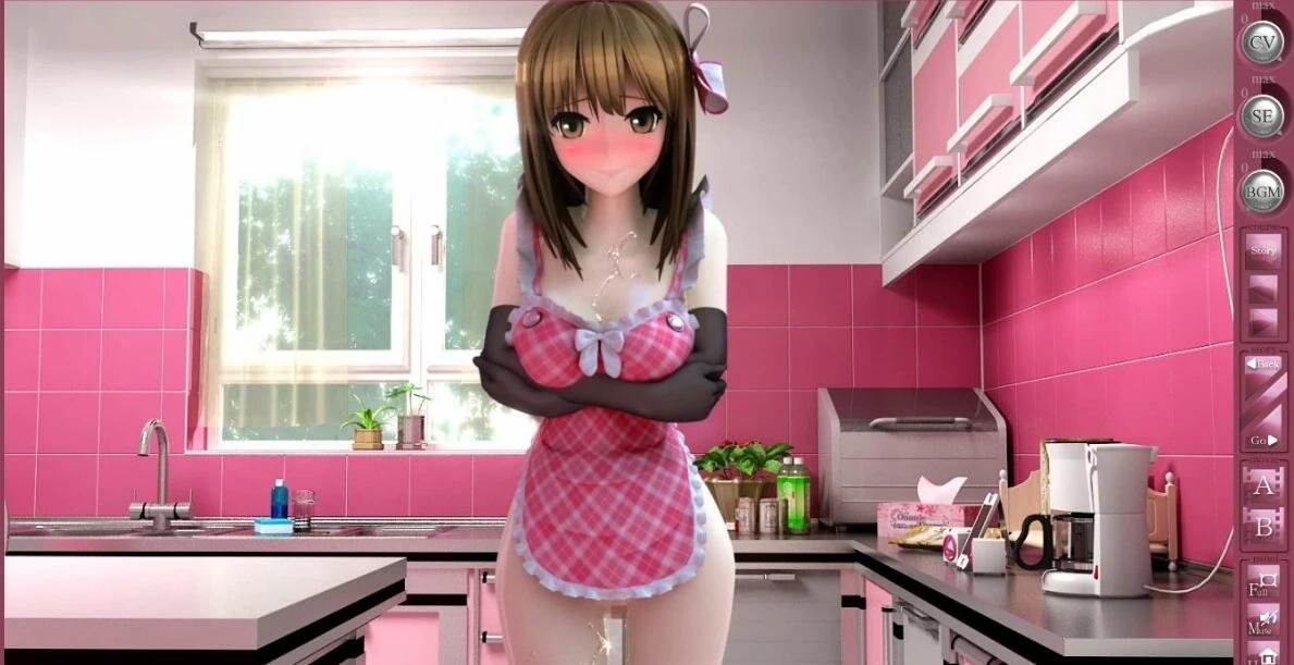 【PC/3D/SLG/无文本/全动态】香艳厨房 RIO’s KITCHEN 双端版【2.8G】