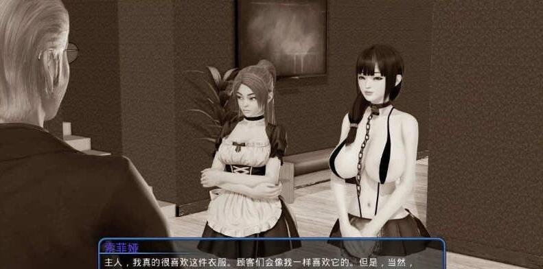 【PC/3D/SLG/汉化】后宫大酒店 后宫酒店 Harem Hotel V0.18-BETA-3 官方中文版【12G】