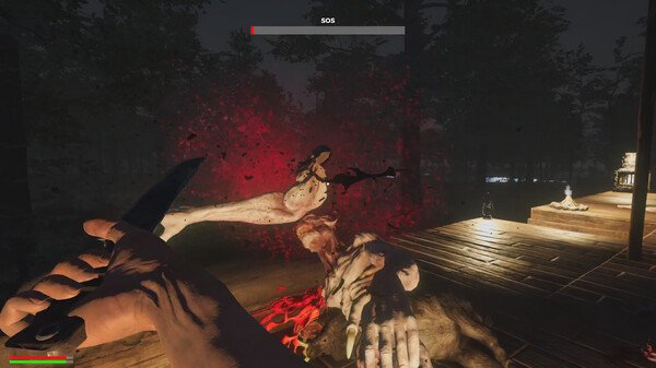 探索者：生存/The Seekers Survival