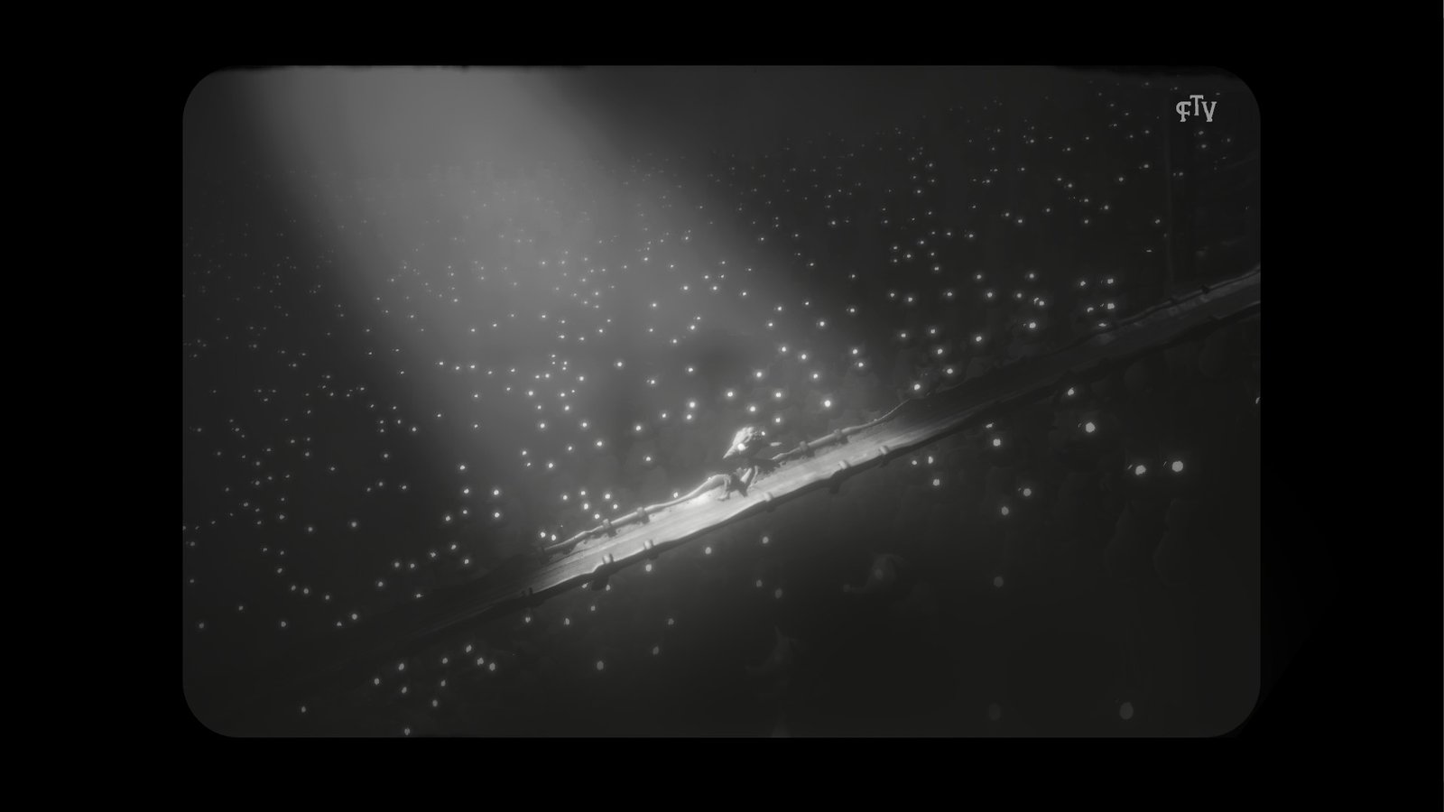 白色阴影/White Shadows