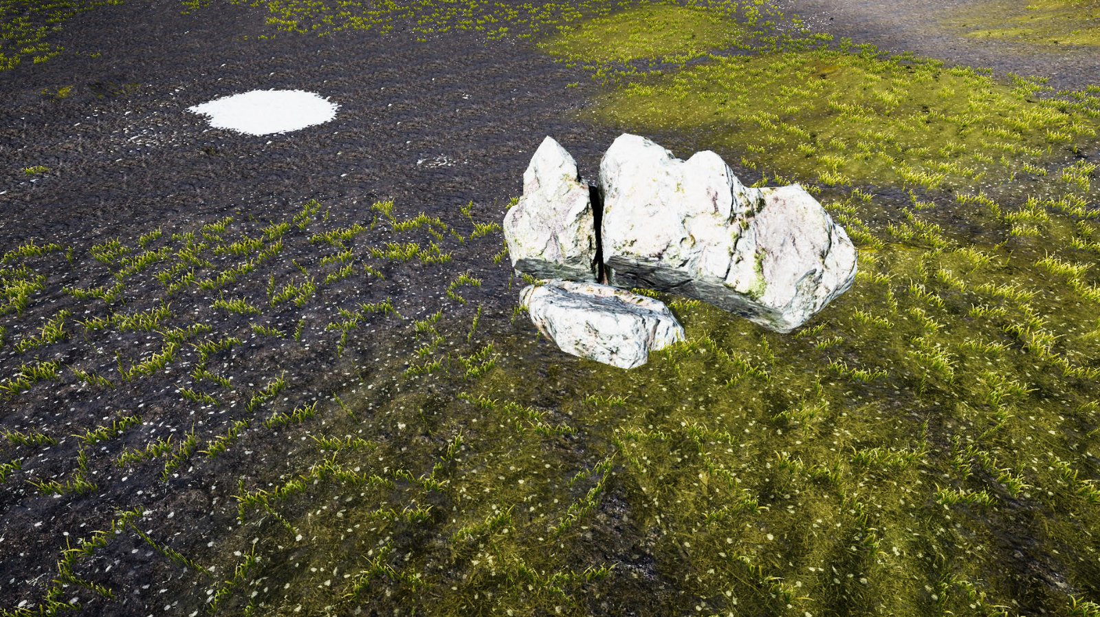 金子是我的/GOLD IS MINE