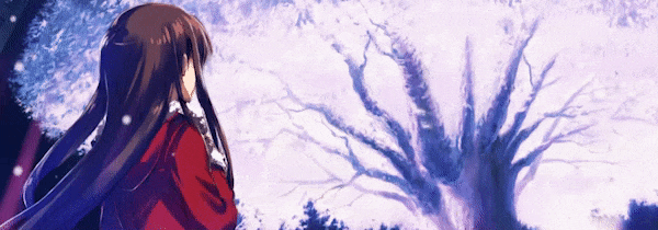 白色相簿：编缀的冬日回忆/WHITE ALBUM Memories like Falling Snow