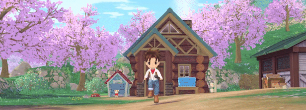 牧场物语 Welcome!美丽人生