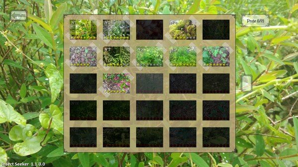 昆虫探寻者/Insect Seeker