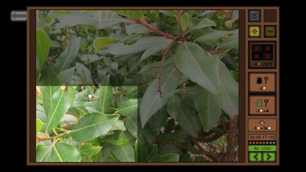 昆虫探寻者/Insect Seeker