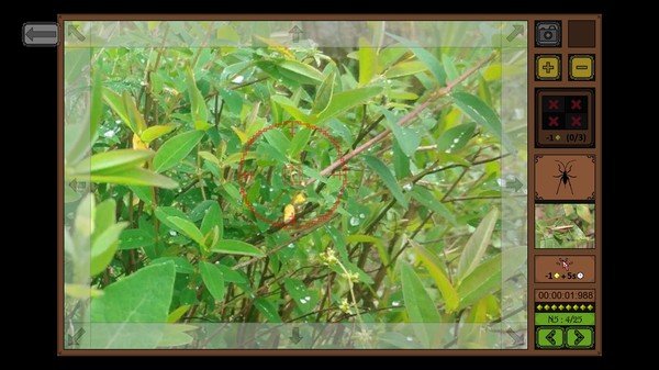 昆虫探寻者/Insect Seeker