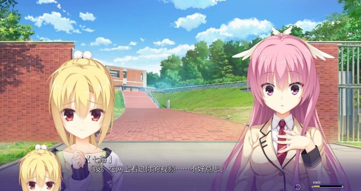 【PC/2D/ADV/汉化】柚子社 谜语小丑 Riddle Joker 精翻汉化硬盘版【8.8G】