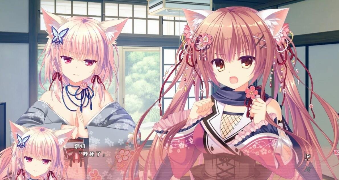 【SVIP/PC/2D/ADV/中文】猫忍之心 1+2+3+篇外篇 官方中文版+18补丁【8.4G】