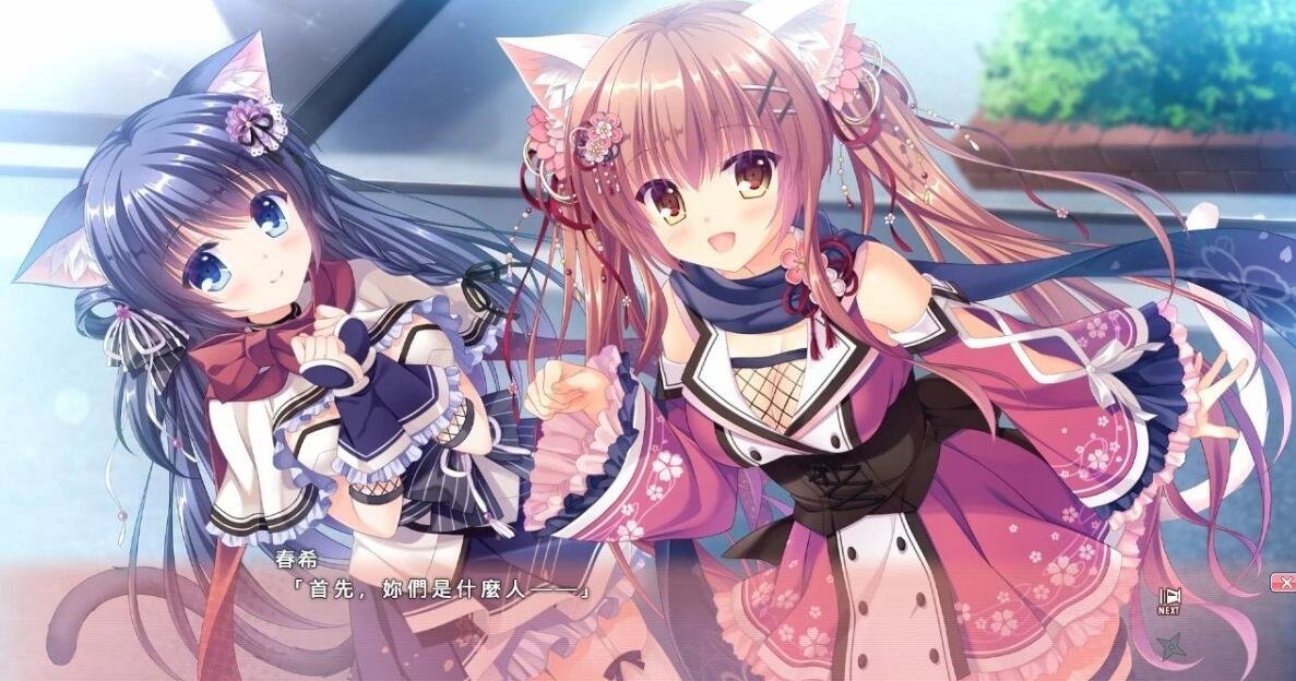 【SVIP/PC/2D/ADV/中文】猫忍之心 1+2+3+篇外篇 官方中文版+18补丁【8.4G】