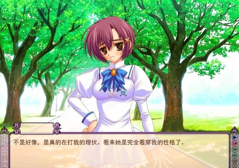 【PC/2D/GAL/汉化/伪娘】少女爱上姐姐 精翻汉化版【1.5G】