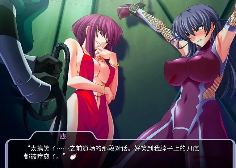 【PC/2D/ADV/中文】对魔忍阿莎姬 Taimanin Asagi 双端官方中文版+存档【900M】