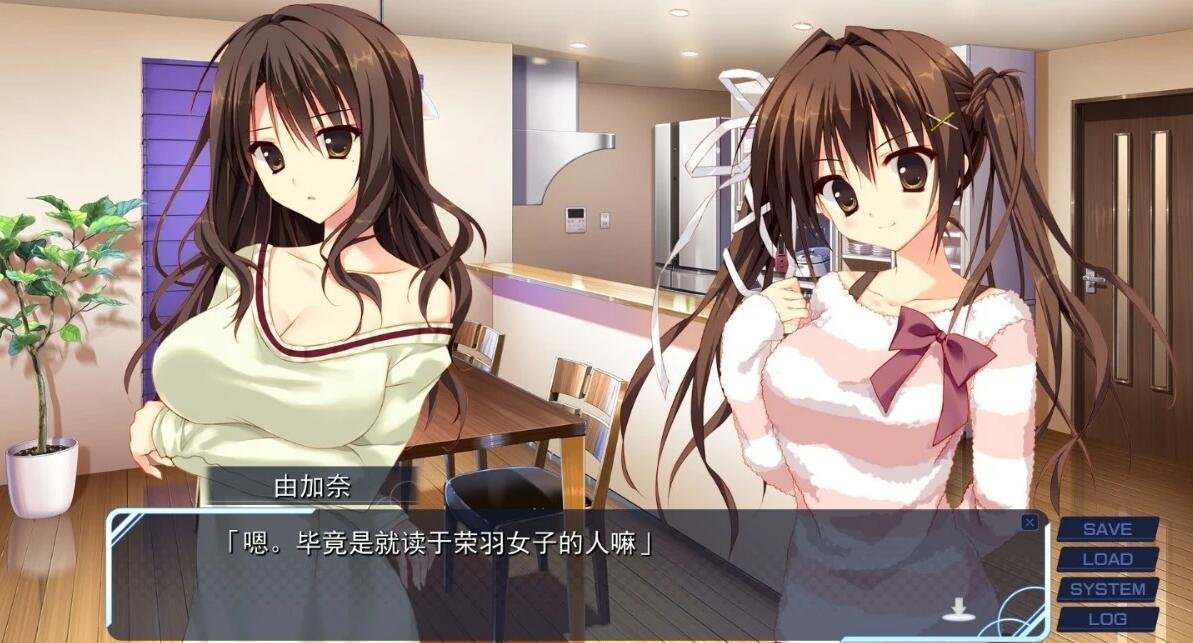 【PC/2D/GAL/汉化】妹的圣域 吉里KR双端精翻汉化版【5G】