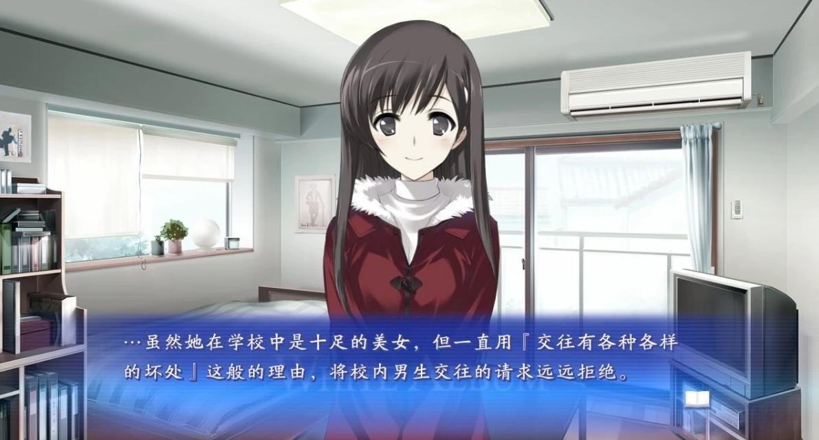 【PC/2D/GAL/中文】白色相簿:编缀的冬日回忆 V1.0 STEAM官中+攻略+存档【3.5G】