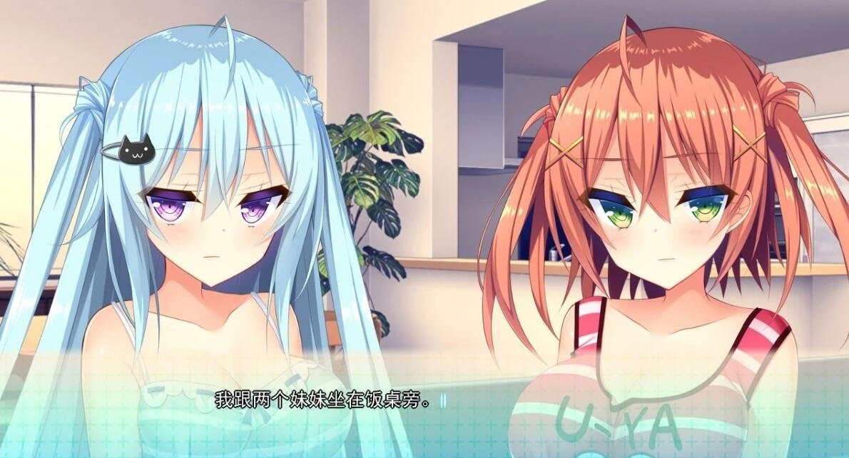 【PC/2D/ADV/汉化】如胶似漆双胞胎 精翻汉化硬盘版【1.7G】