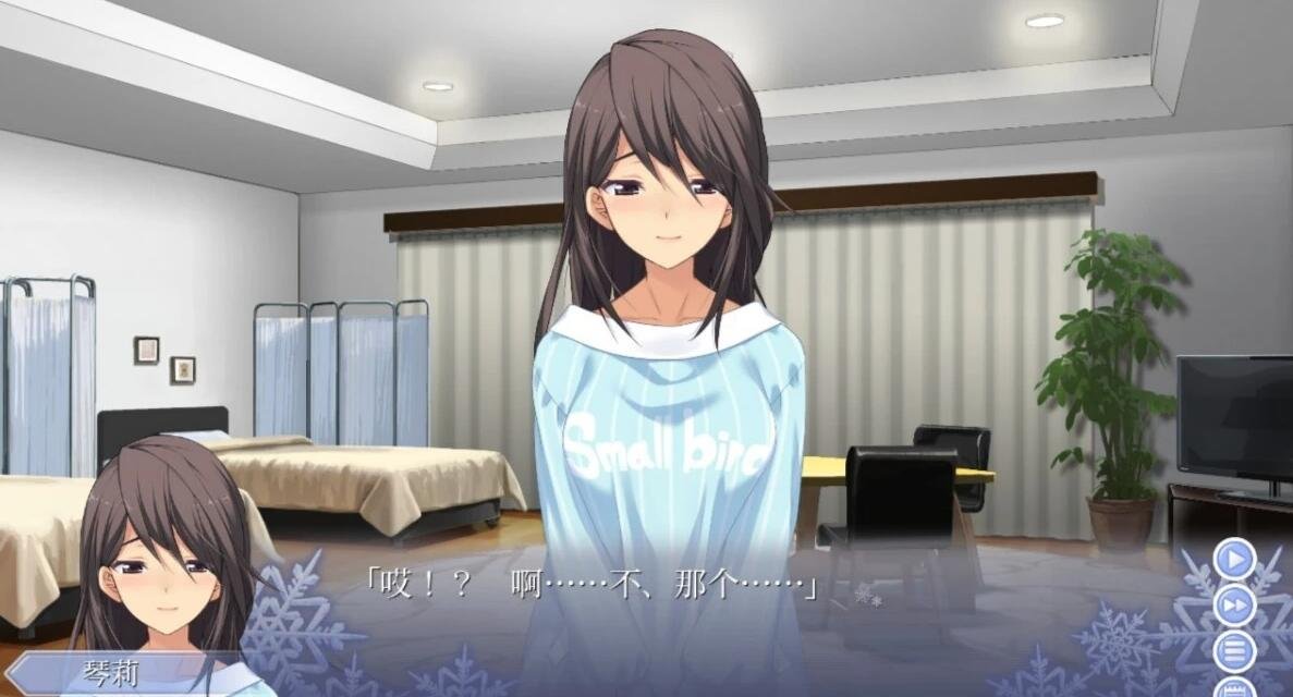 【PC/2D/GAL/汉化】告别回忆-无垢少女-致最爱的你 精翻汉化版【5.6G】