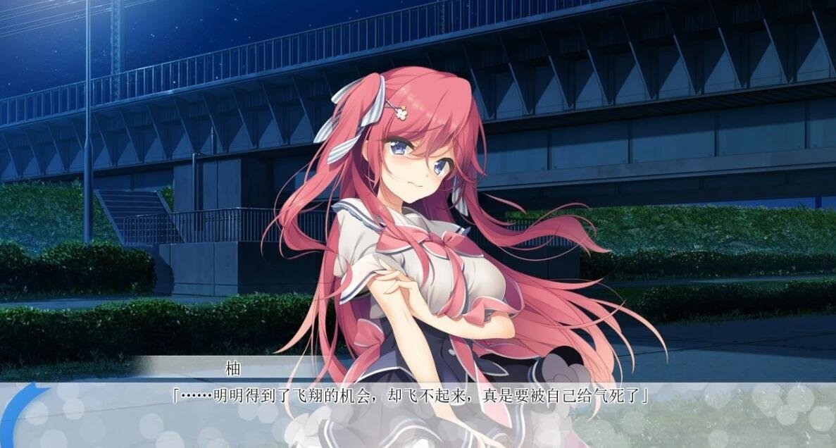 【PC/2D/汉化ADV/后宫】[ウグイスカグラ] 印刻天际的Parallelogram+CG【3.6G】