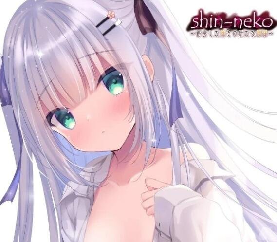 【PC/2D/ADV/汉化/竹子社】心猫~与妹妹展开全新的关系 汉化+存档【1.1G】