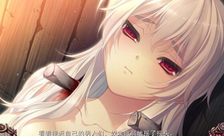 【PC/2D/十二魔器】无限炼监:不死舞姬的凌褥轮舞曲 精翻步兵+存档【3G】