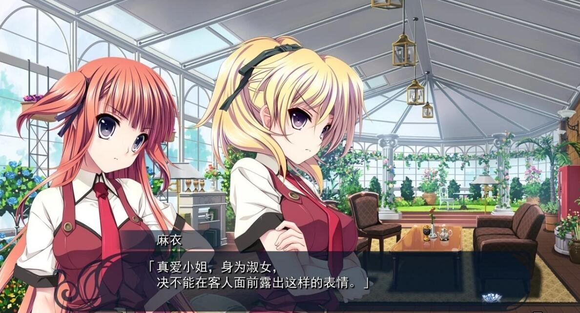 【PC/2D/ADV/精翻/伪娘】恋爱少女与守护之盾～蔷薇圣母 汉化硬盘版【2.4G】