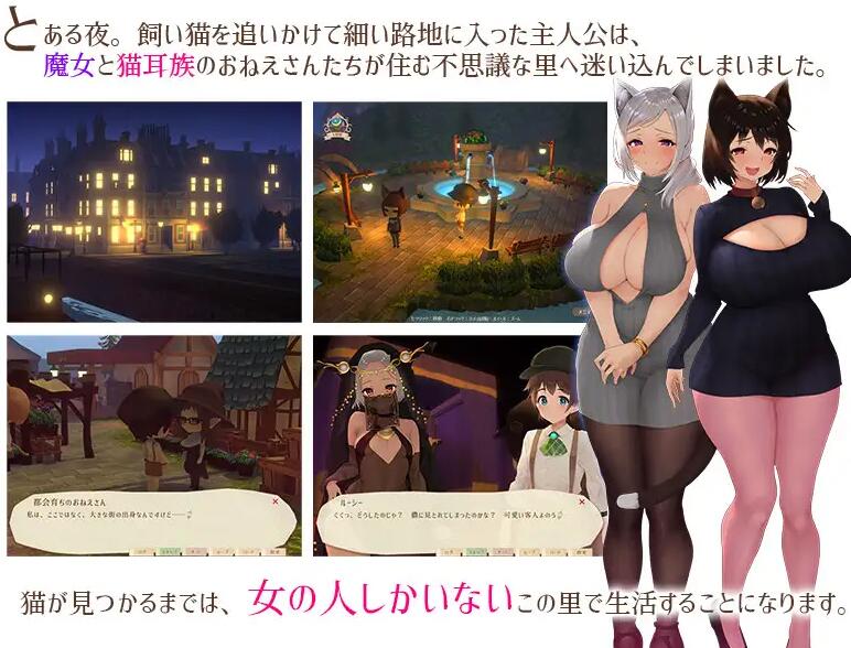 【PC/精品RPG/汉化】魔女与猫的桃源乡/魔女と猫の隠れ里Ver1.01 官方中文版+全CG存档【1.07G】