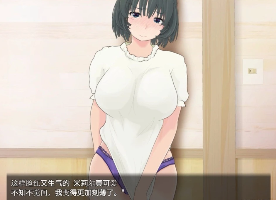 【PC/RPG/汉化/动态】寝取小镇的超H传阅板！开门即H！汉化双端作弊【920M】