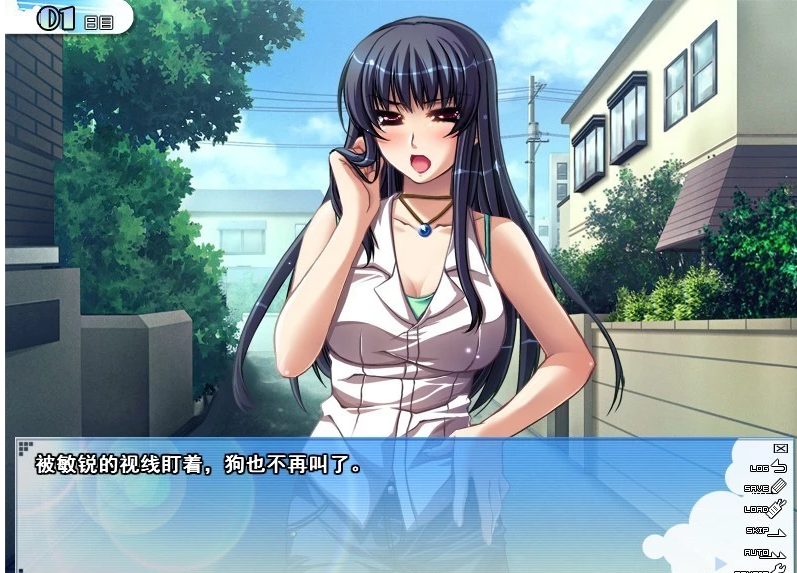【PC/2D/ADV/汉化/合集】姐姐♥Summer-第二部 精翻汉化版+前作汉化+CG存档【1G】