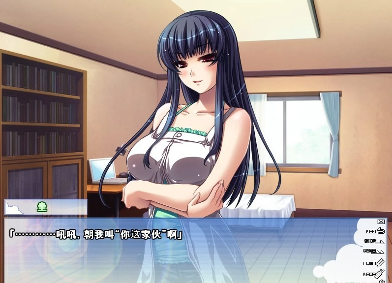 【PC/2D/ADV/汉化/合集】姐姐♥Summer-第二部 精翻汉化版+前作汉化+CG存档【1G】