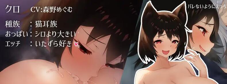 【PC/精品RPG/汉化】魔女与猫的桃源乡/魔女と猫の隠れ里Ver1.01 官方中文版+全CG存档【1.07G】