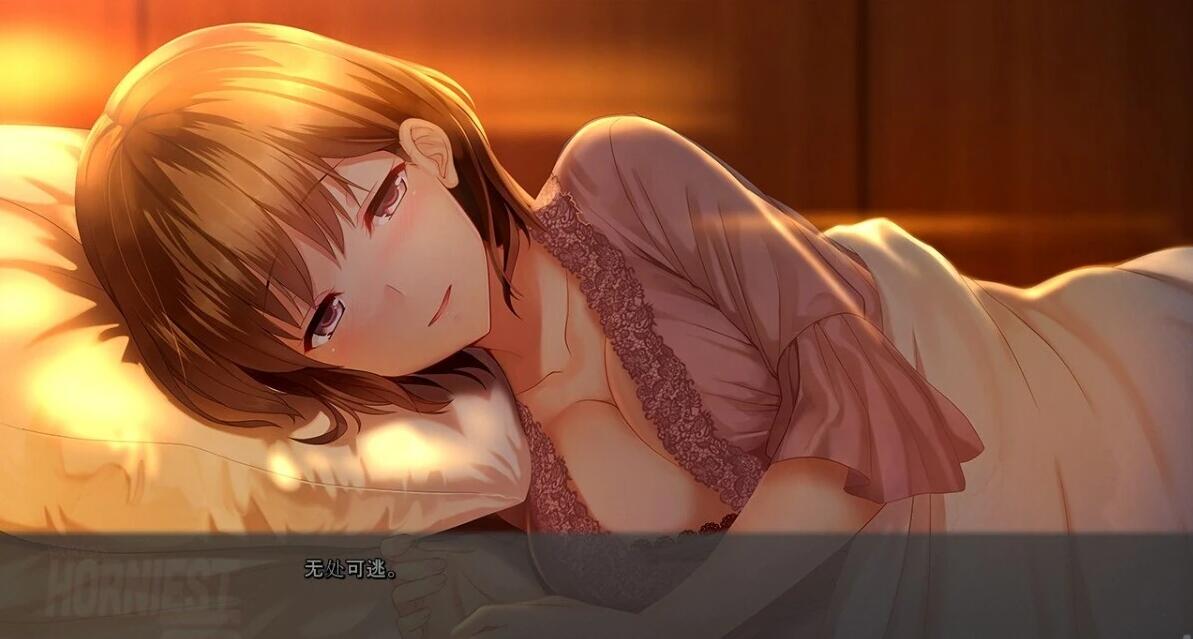 【PC/2D/ADV/汉化】人类最强星屿嫁 VOL1 精翻汉化版+全CG存档【1G】