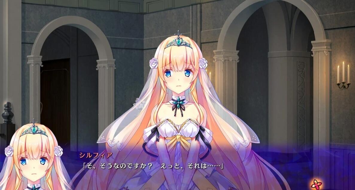 【PC/2D/大型教育SLG/日文】公主和欲望的测试教育/姫と婬欲のテスタメント AI汉化版+全CG存档【新汉化/3.3G】