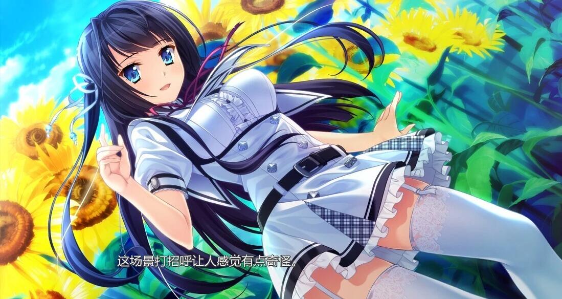 【PC/2D/GAL/中文】追忆夏色年华 官方中文版【3.3G】