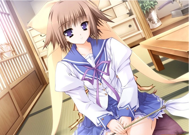 【PC/2D/GAL/汉化】终有一日愿遂彼空 汉化免安装版【1.8G】