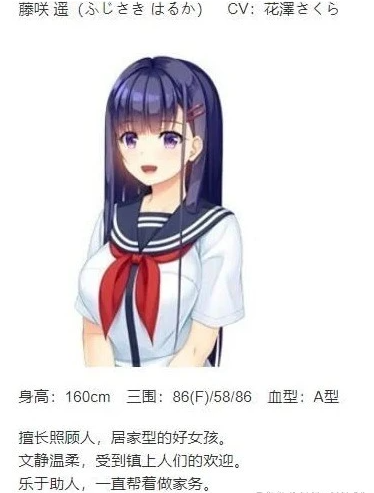 【PC/2D/大型ADV/汉化】纯真之夏 汉化硬盘版+CG存档[水明学园汉化组]【4.5G】