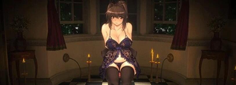 【PC/2D/SLG/汉化】优艳之花·续 银缚之馆 汉化步兵修复版+存档+动画【19G】