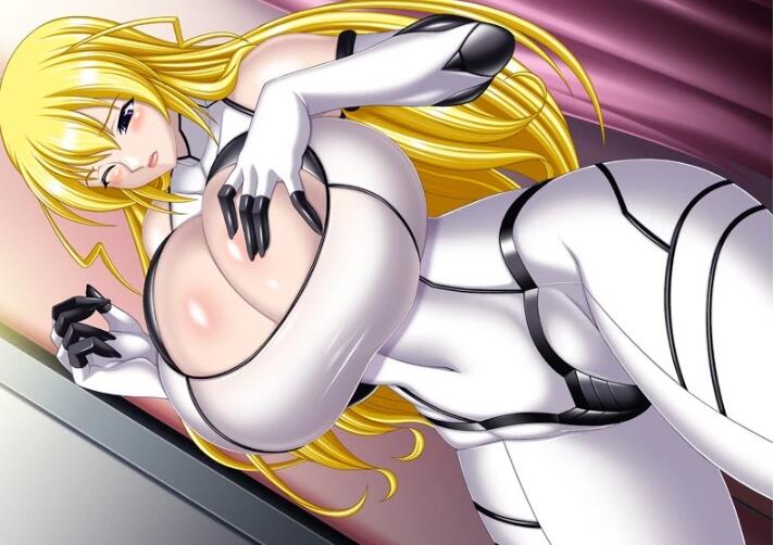 【SVIP/PC/日文/无敌拔作/极品淑女】ぴちぴち画廊R组:全资源合集+CG【10G】