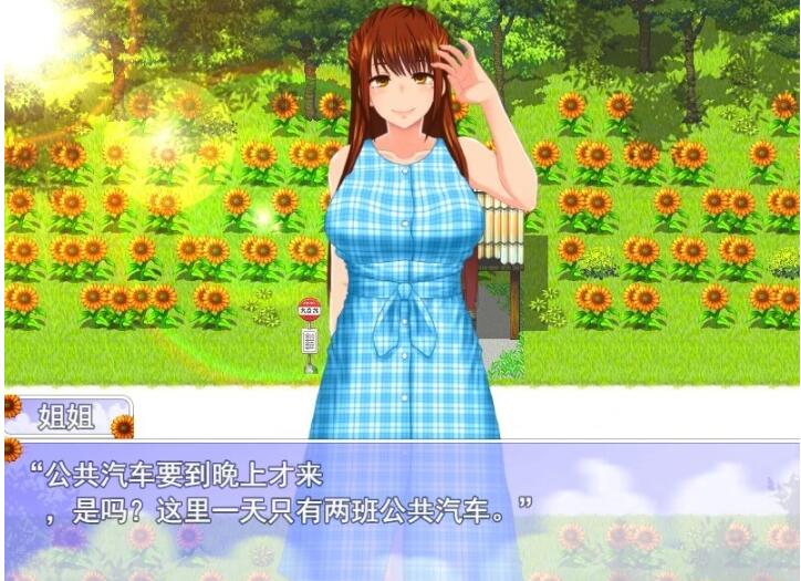 【PC/2D/RPG/汉化/全动态】我的暑假秘密回忆2 Ver1.2.8 AI汉化版【1G】