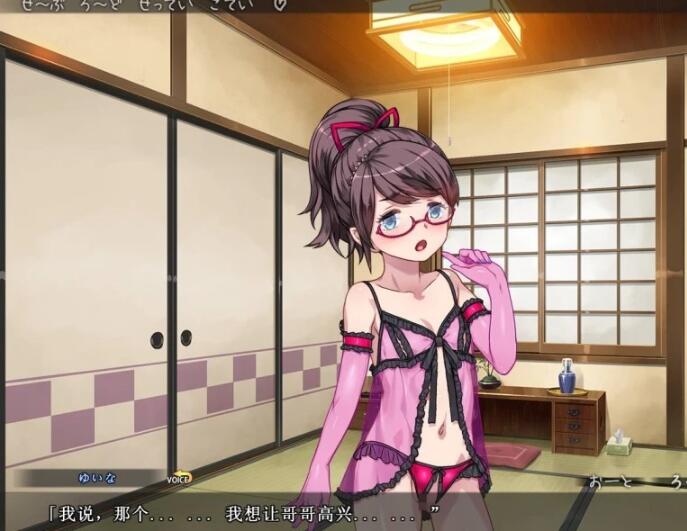 【SD/2D/日式ADV/拔作精品】DSKBJCS-和三名小恶魔的夏日 双端AI精翻【1.5G】