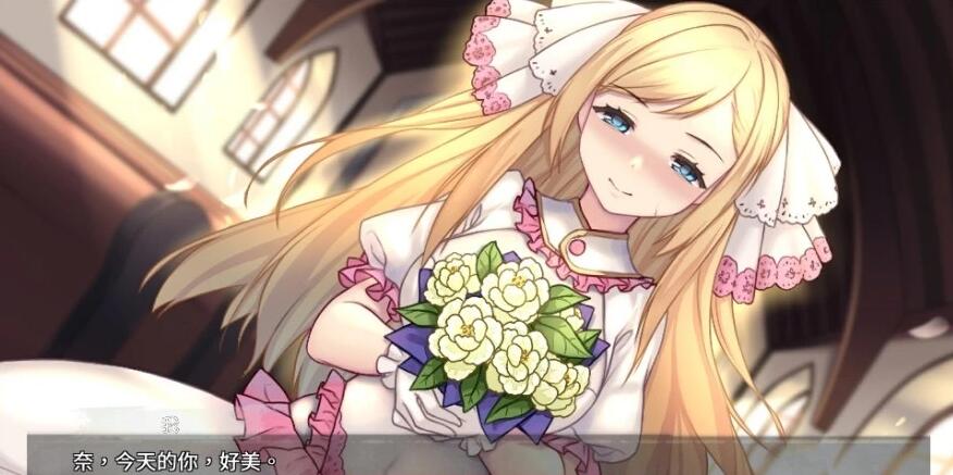 【SD/2D/日式SLG/调教养成/动态】奈的调教日记 V1.2.0 官方中文步兵版【1.2G】