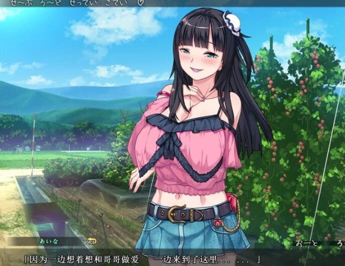 【SD/2D/日式ADV/拔作精品】DSKBJCS-和三名小恶魔的夏日 双端AI精翻【1.5G】