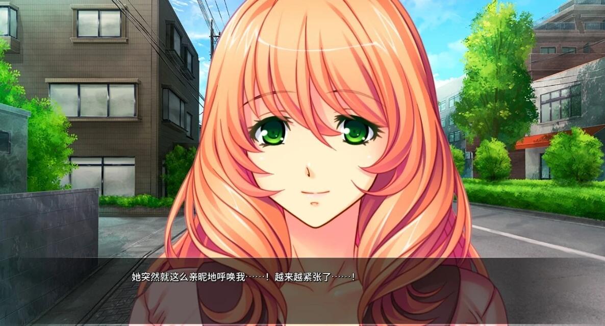 【PC/2D/SLG/中文】人妻遥香开发日志 V1.1 STEAM官方中文版【580M】