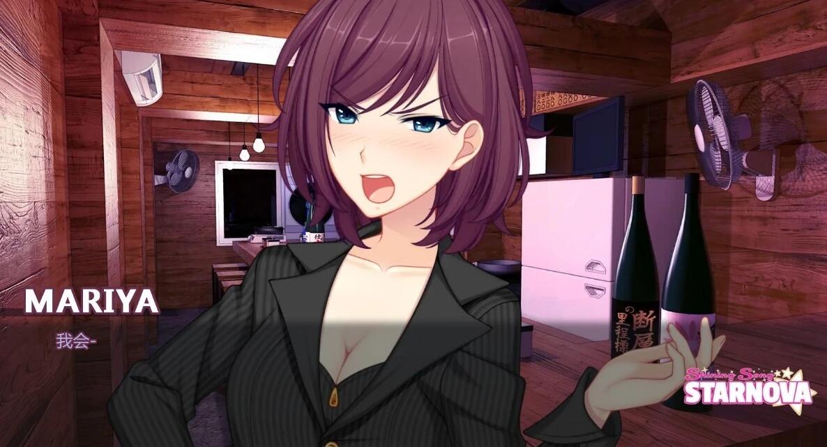 【SD/2D/日式ADV/汉化】闪耀之星 1.0完结版 双端汉化版【1G】