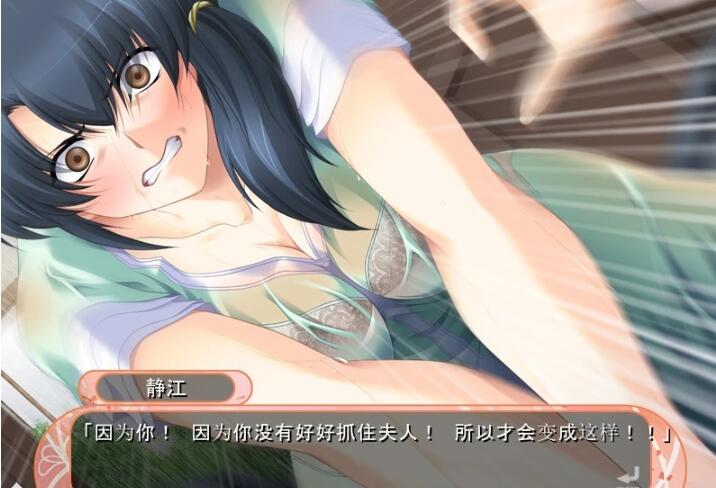 【SD/2D/超拔作ADV/汉化】妻子出轨~岳母顶替！PC+安卓 云汉+动画+CG【1.8G】