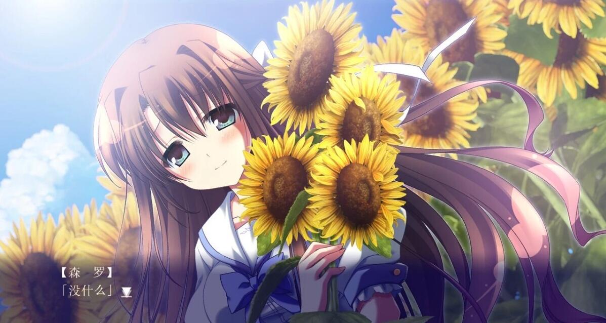 【PC/2D/GAL/汉化】夏空的英仙座 精翻汉化版+攻略+存档【5.1G】