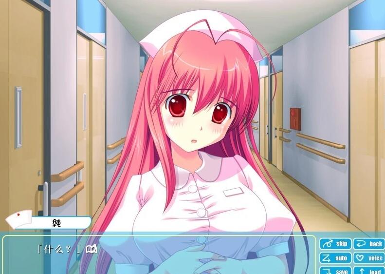 【PC/2D/ADV/汉化】私人病房 AI汉化版+全CG存档【880M】