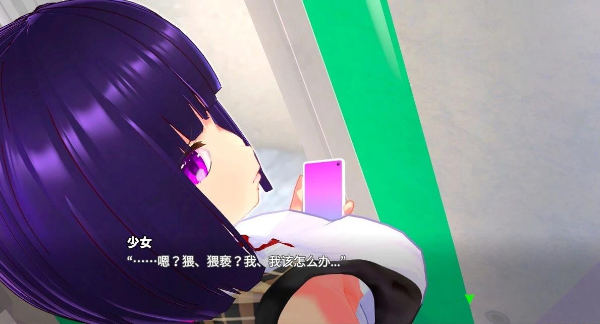 【PC/3D/SLG/中文】电痴系列-循环列车:对那个女孩恶作剧V1.1.2 DL官中版【1.9G】