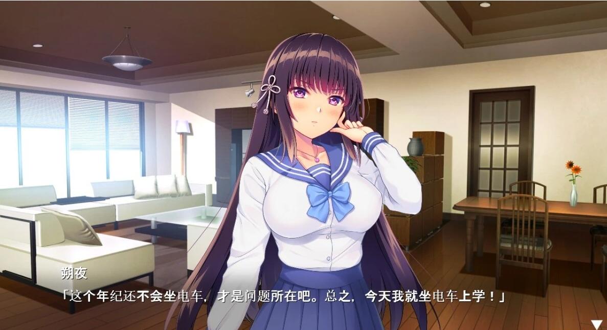 【PC/2D/ADV/汉化】朔夜大人,请看看～无法停止的愿望!AI汉化版+存档【1.7G】需转区运行，不会搞勿下！