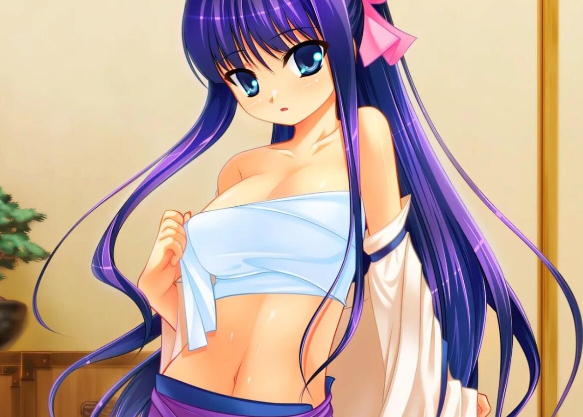 【PC/2D/GAL/汉化】絶対★妹原理主義! 汉化版【1.6G】