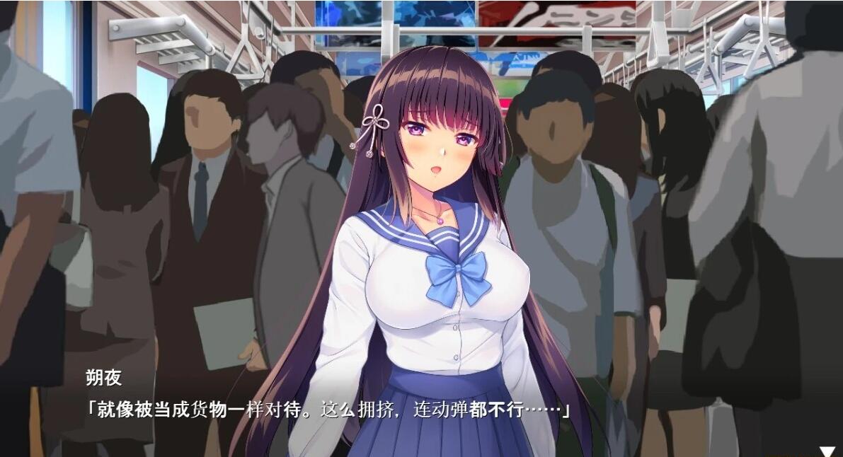 【PC/2D/ADV/汉化】朔夜大人,请看看～无法停止的愿望!AI汉化版+存档【1.7G】需转区运行，不会搞勿下！