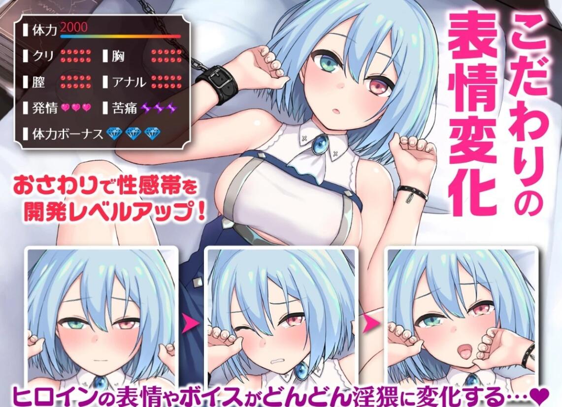 【PC/2D/神作SLG/中文】帝国后宫计划V1.0.0 STEAM官方中文步兵版+DLC+存档【2.4G】