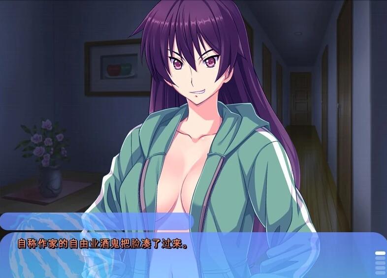 【PC/2D/ADV/汉化】姐姐，今年夏天 姉にこの夏 V1.0 AI汉化版+全CG存档【1.6G】